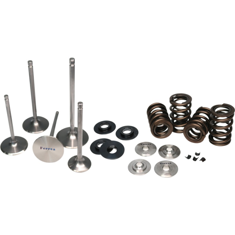 Ferrea Acura/Honda B18/B16 High Pressure Dual Spring Kit