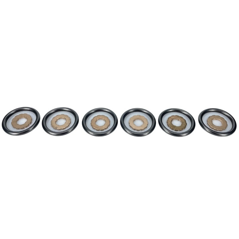 Exergy 2019+ Dodge Cummins 6.7L Seal Kit w/O-Ring & Copper Gasket