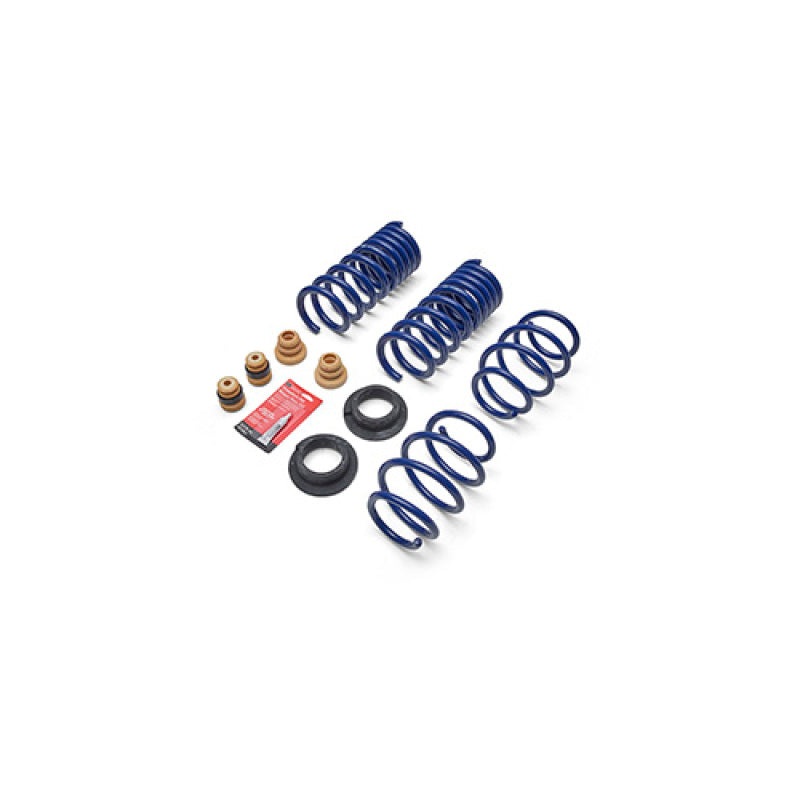 Ford Racing 2024 Mustang 2.3L Track Lowering Spring Kit