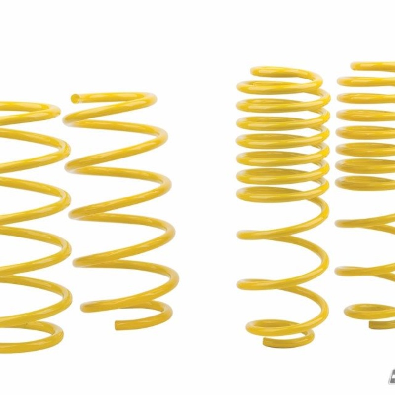 mountune Sport Spring Set 2014-2015 Fiesta ST